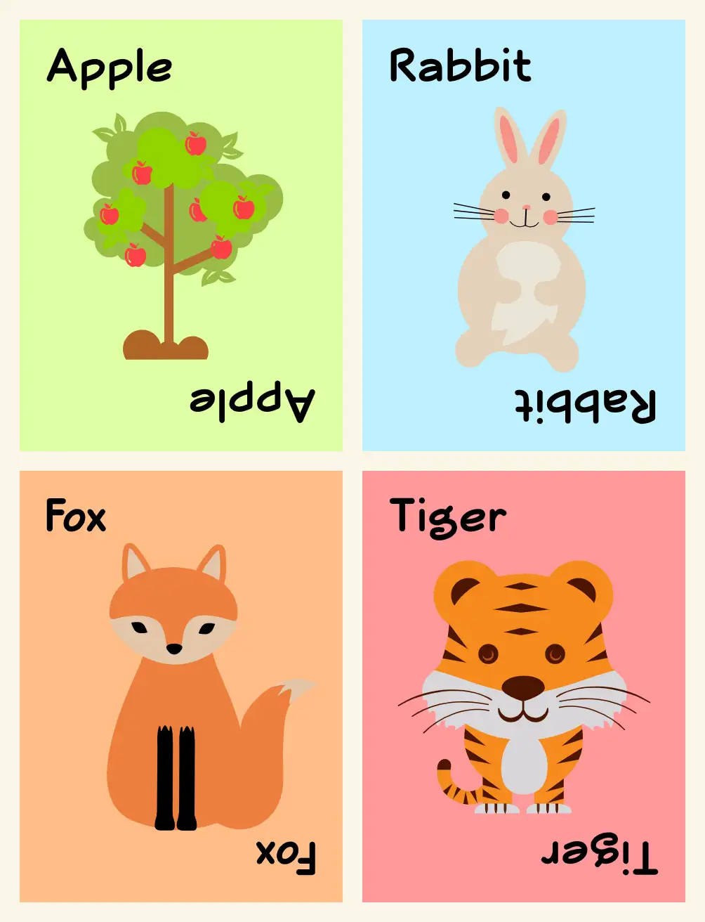 The food-chain cards: a plant, a herbivore (rabbit), a carnivore (fox) and an apex predator (tiger)